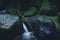 Rainforest Springs Water landscape. Long Exposure