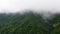 Rainforest on top of the mountain. Rain clouds in the highlands.