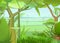 Rainforest tree. Dense thickets. View from the jungle forest. Southern Rural Scenery. Tropical forest panorama