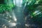 Rainforest under jesus light