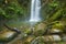 Rainforest waterfalls, Beauchamp Falls, Australia