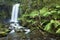 Rainforest waterfalls, Hopetoun Falls, Victoria, Australia