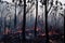 Rainforest wildfire environment disaster background. Jungle forest bushfire scene with dire consequences for nature