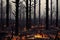 Rainforest wildfire environment disaster background. Jungle forest bushfire scene with dire consequences for nature