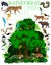 Rainforest wildlife vector illustration. Vector infographic