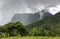 Rainforests on the mountains of the island Moorea