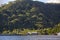 Rainforests on the mountains of the island Moorea