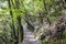 Rainforests of Nepal. Road and vegetation on the way to Everest