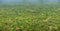 Rainforests. View from above. Panoramic photo. Sigiriya, Sri Lan