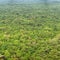 Rainforests. View from above. Sigiriya, Polonnaruwa, Sri Lanka