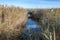 Rainham Marshes on a sunny day with a stream