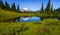 Rainier Views From Little Tipsoo Lake, Mt Rainier National Park, Washington