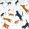 Raining cats and dogs visual metaphor vector graphics