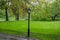 Raining in Central Park, New York city. Spring fresh tree foliage and green grass