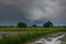 Raining and lightening over the field in farming season