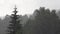 Raining in Mountains, Clouds Mystical Fog, Cloudy Rainy Day, Foggy Forest, Stormy Mist Smoke in Alpine Wood, Overcast