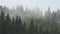 Raining in Mountains, Clouds Mystical Fog, Cloudy Rainy Day, Foggy Forest, Stormy Mist Smoke in Alpine Wood, Overcast Timelapse