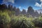 Raining over evergreen forest at lake Matheson southland new zealand