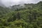 It rains copiously on the vegetation of the mountainous jungle