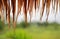 Rains drops on thatched roof in the countryside