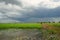 Rainstorm background, paddy field scenery Thailand