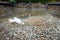 Rainwater filling the freshly dug out foundation of a new residential construction site