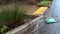 Rainwater flooding down a residential street, sidewalk access ramp, and flood control ditch culvert planted with hardy plants, san