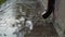 Rainwater pours from drainpipe near house onto tile walkway, close-up.