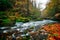 Rainy autumn river at Edmund Gorge of Bohemian Switzerland National Park, Czech republic.
