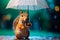 Rainy Day Refuge: Squirrel\\\'s Tiny Umbrella