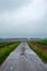 Rainy Day on a Rural Country Road