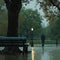 Rainy day stroll A distant figure approaching a Central Park bench