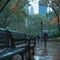 Rainy day stroll A distant figure approaching a Central Park bench