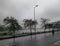 Rainy day. Tree line, one street light and one person