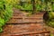 Rainy day and wooden tourist path in Plitvice