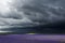 Rainy dramatic clouds over beautiful purple field