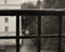 rainy drops window black and white photography
