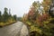 Rainy fall day on muddy dirt road in northern Maine.