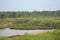 Rainy heath landscape in De Liereman nature reserve, Turnhout, Belgium