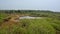 Rainy heath landscape with lake in De Liereman nature reserve, Turnhout, Belgium