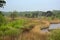 Rainy heath landscape with lake in De Liereman nature reserve, Turnhout, Belgium