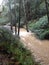 Rainy Hike by Muddy Stream Near San Francisco