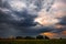 Rainy morning over the flood meadows near the Ob river. Western Siberia