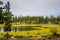 Rainy on Pond - National Fish Hatchery - Leadville, CO