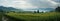 Rainy seasons charm: panoramic view of lush corn fields, natures beauty