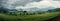 Rainy seasons charm: panoramic view of lush corn fields, natures beauty