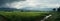 Rainy seasons charm: panoramic view of lush corn fields, natures beauty