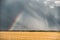 Rainy sky and rainbow in golden wheat field