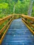 Rainy walking trail in Rainbow Springs State Park