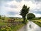 Rainy weather, over Raikes lane, with horses and fields in, Tong, Yorkshire, UK